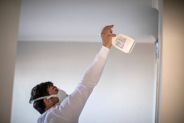 Best Emergency Mold Removal  in Rincon, GA