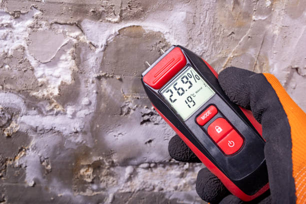 Best Emergency Mold Removal  in Rincon, GA